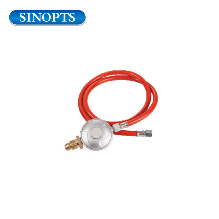 300 mbar 500 mbar 700 mbar Piezas del calentador Regulador de gas